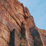 services bg 150x150.jpg